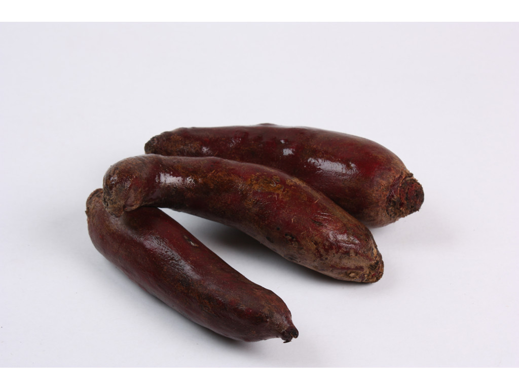 Rødbeder kg økologiske