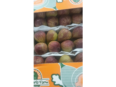 Figner friske kasse 18-22 stk