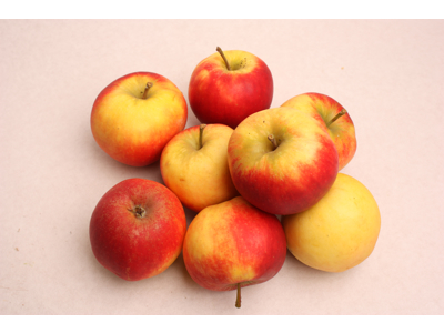 Æbler Elstar Danske