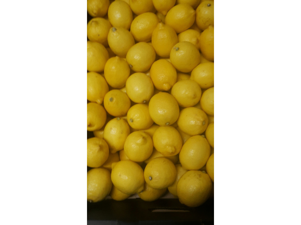 Citroner ks 15 kg. kl. 1 ca. 100 stk. Spanske