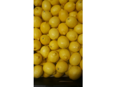 Citroner ks 15 kg. kl. 1 ca. 100 stk. Spanske