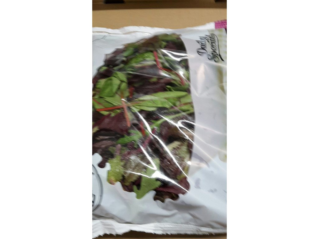 Salat Baby mix ØKO kg