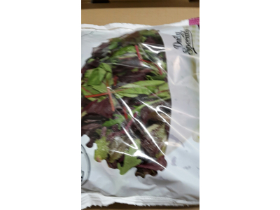 Salat Baby mix ØKO kg