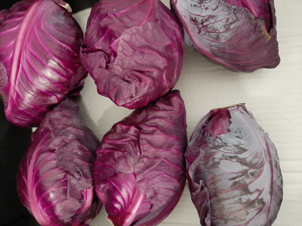 Spidskål røde Danske