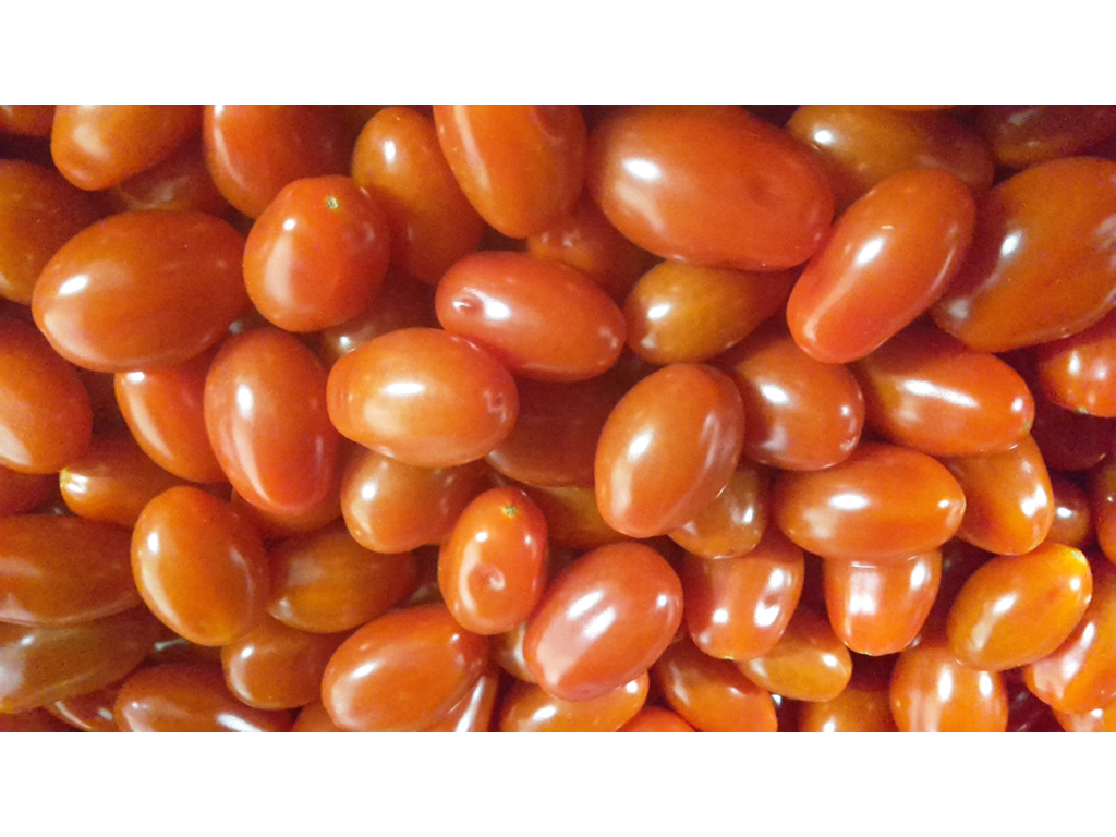 Tomater cherry blomme ks. 4 kg.