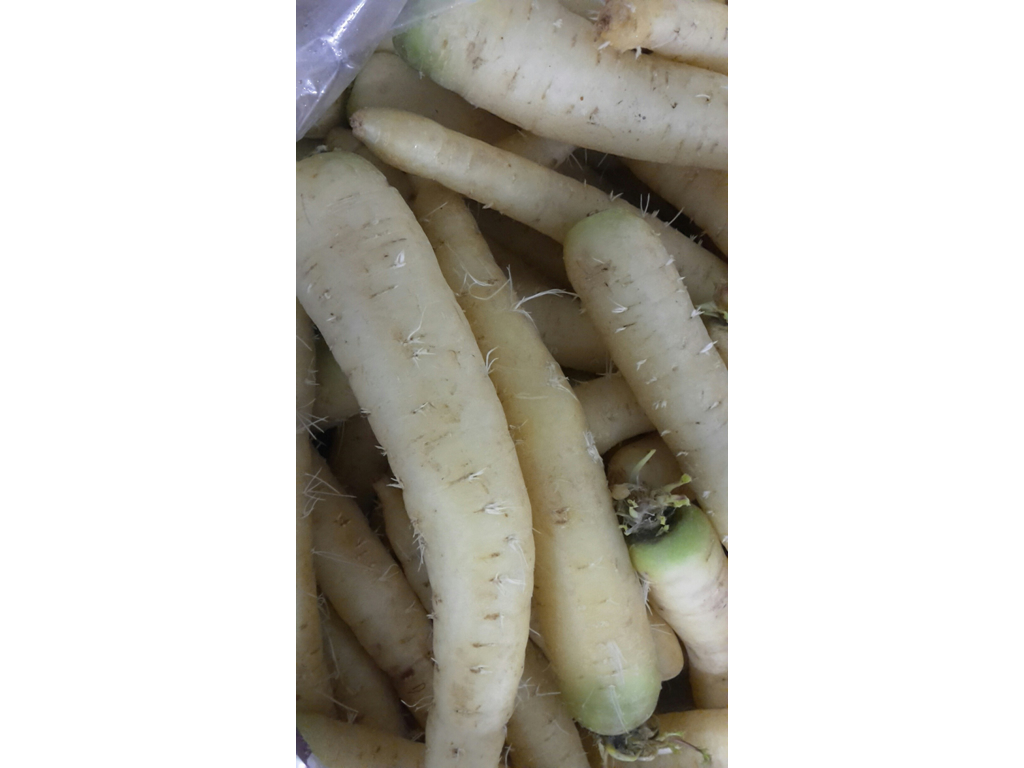 Gulerødder Hvide 5 kg ks. 