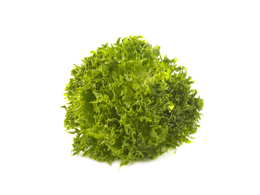 Salat frilice Danske