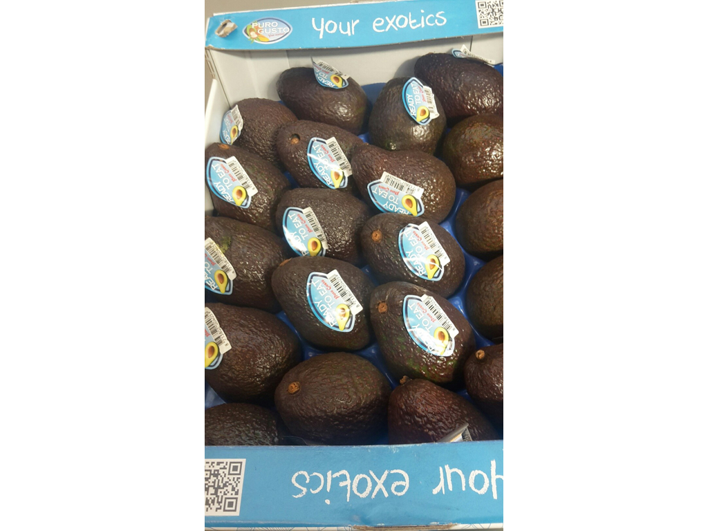 Avokado spise klar kasse