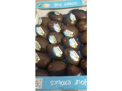 Avokado spise klar kasse