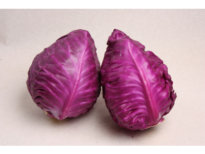 Spidskål røde ks. Danske