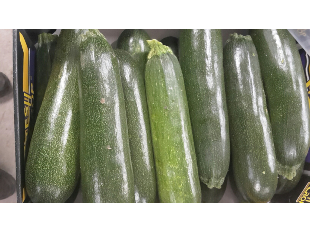 Squash grøn kasse 5 kg. 11-14 stk.