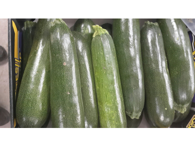 Squash grøn kasse 5 kg. 11-14 stk.