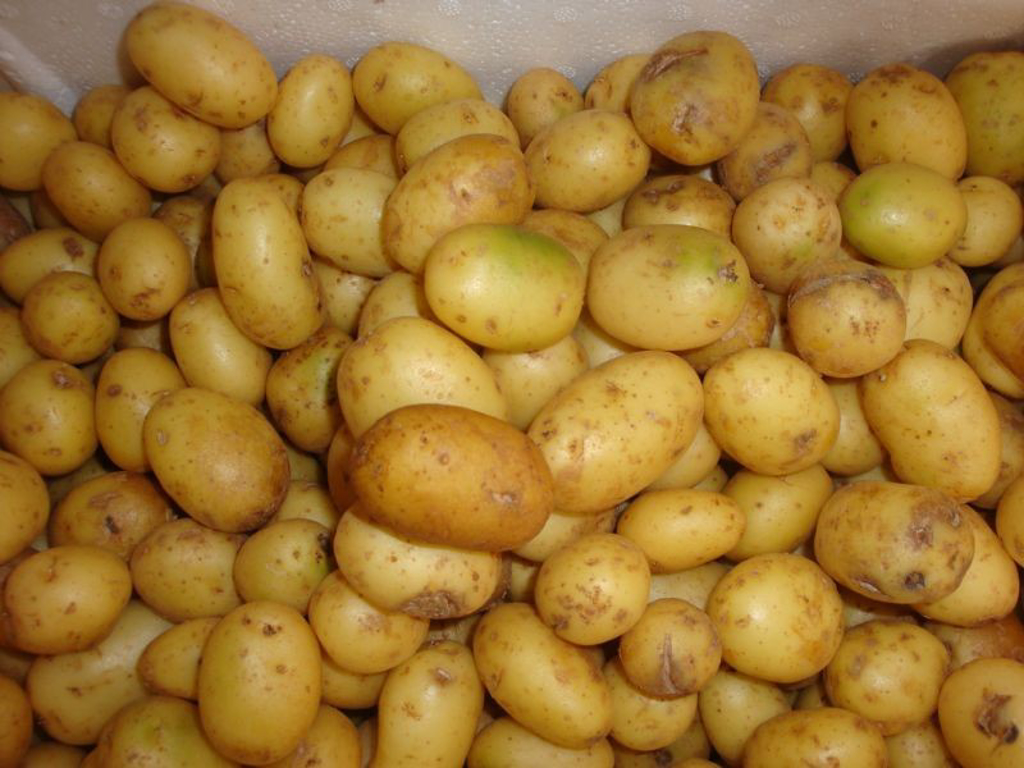 Kartofler petit  danske 1-38 mm 7 kg.