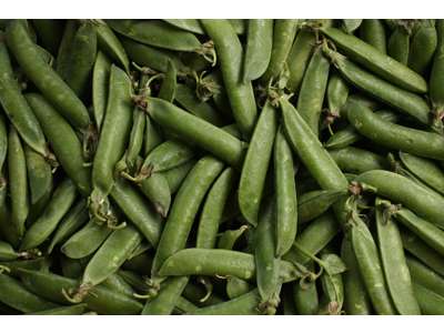 Ærter kasser 5 kg Italienske