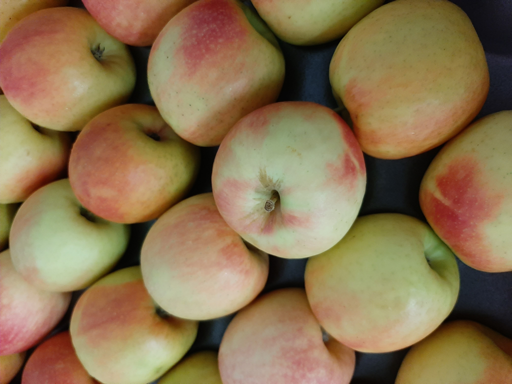 Æble pink crisp stk.