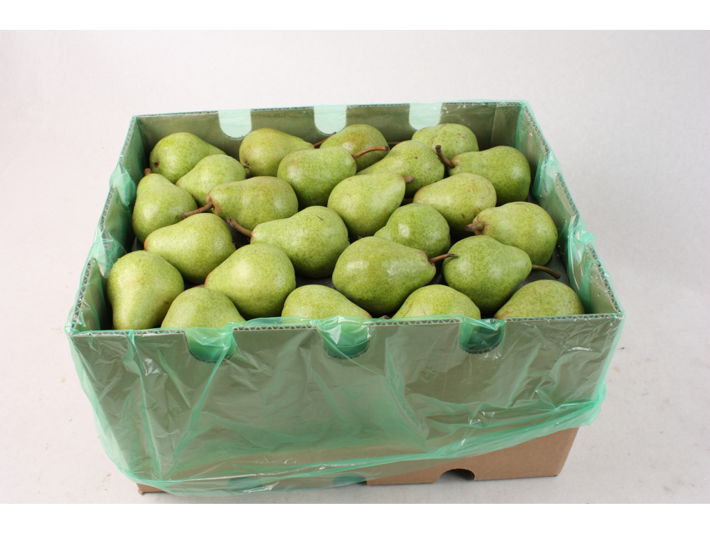 Pærer williams 120er ks.