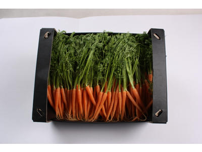 Gulerødder mini ks. 3 kg.