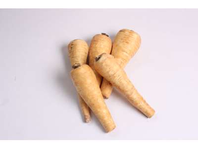 Pastinak Øko ks 5 kg