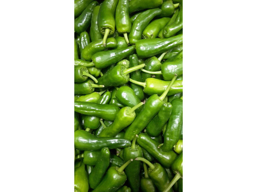 Peber Padron kasse ca. 2 kg.