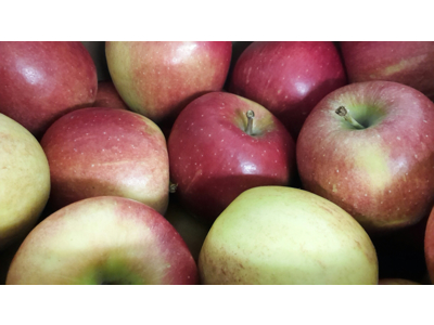 Æbler Braeburn kasse 10 kg. 65/70 mm.