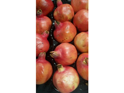 Granatæbler kasse 10-12 stk.