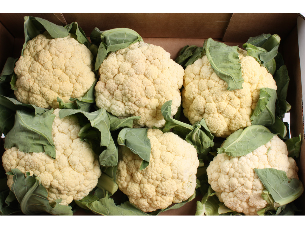 Blomkål  kasse 6 stk store