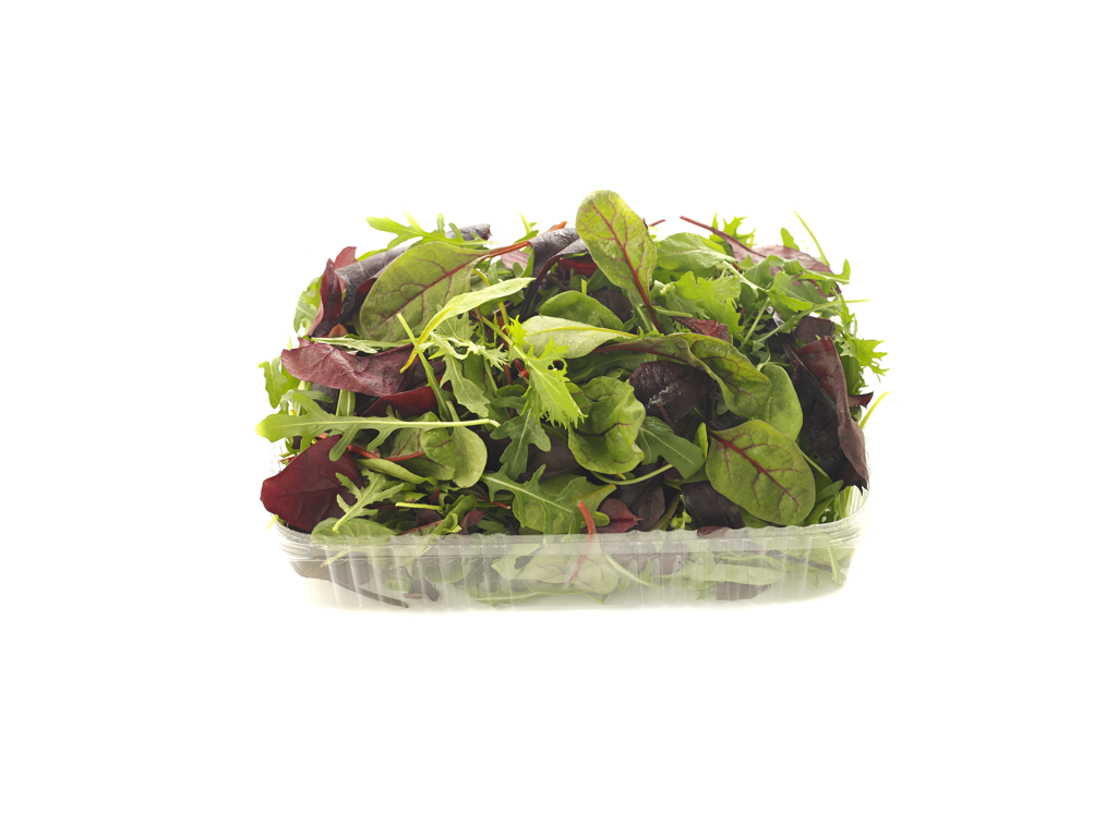 Salat Baby mix  100g.