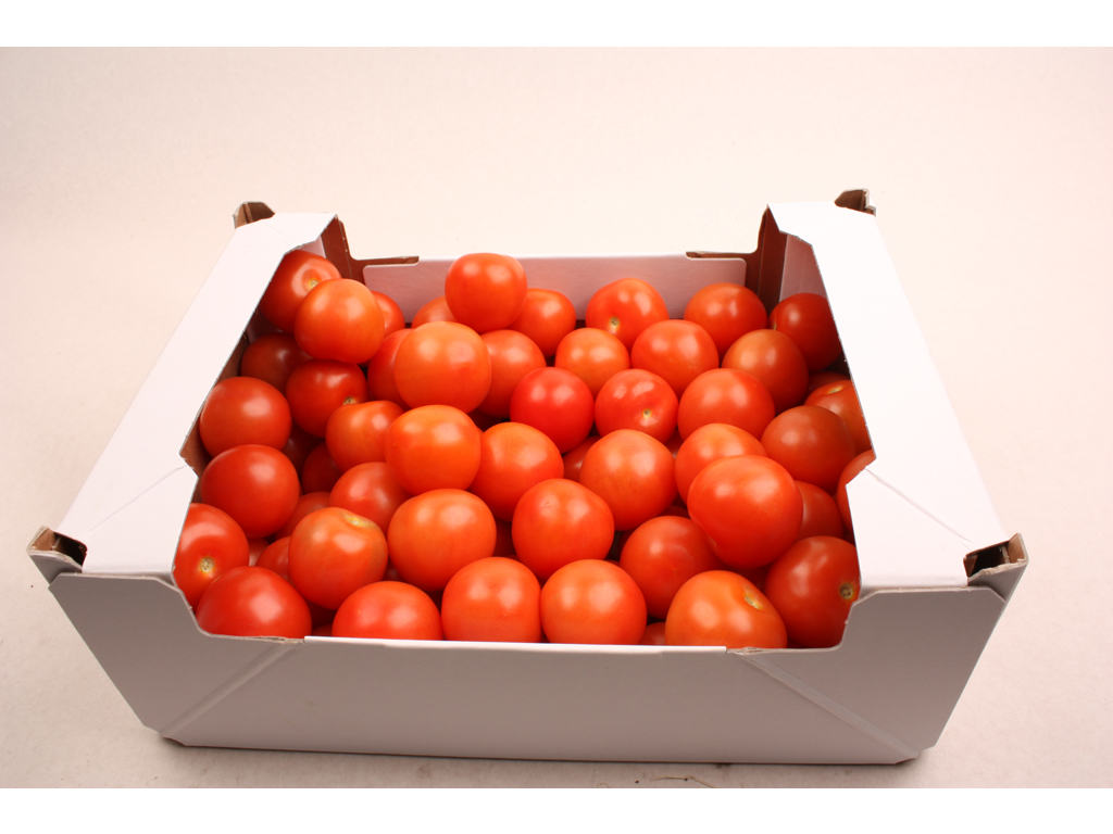 Tomater DANSKE 6 kg. ks. lokal avler