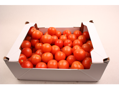 Tomater DANSKE 6 kg. ks. lokal avler