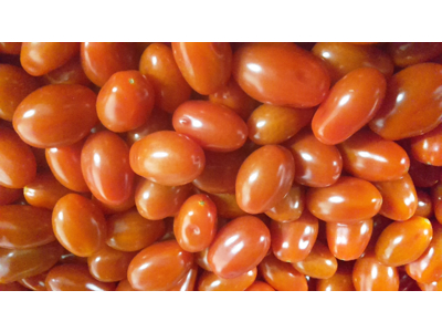 Tomater cherry blomme kg.