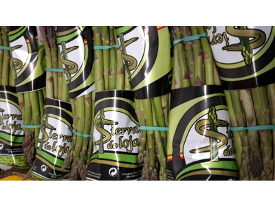 Asparges grønne 450 gr bnt