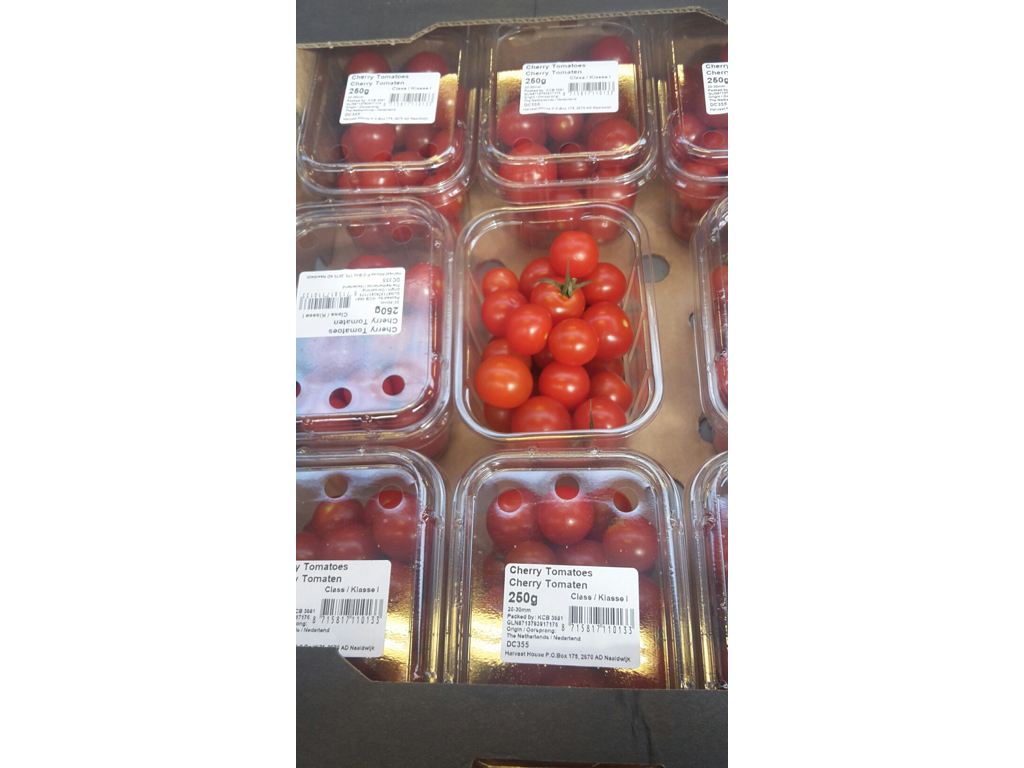 Tomater cherry bk
