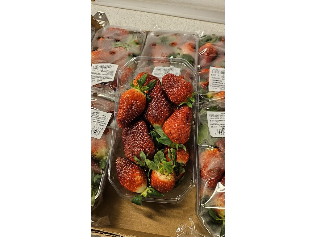 Jordbær Spanske 10*500g. kasse 