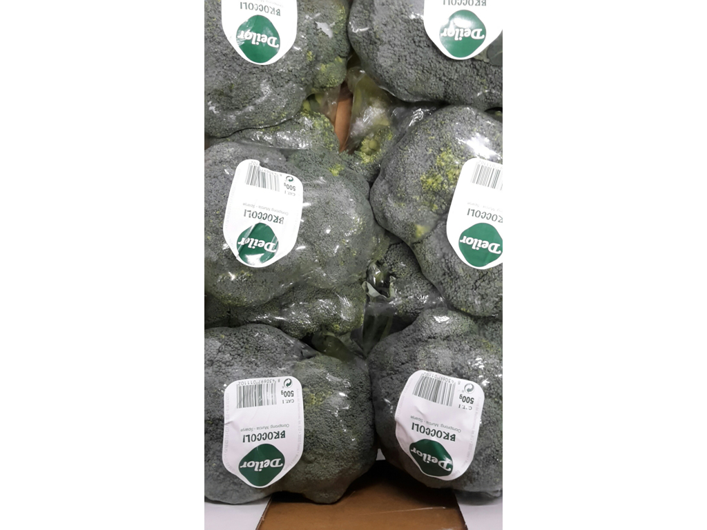 Broccoli ks. 10*500 gr Spanske
