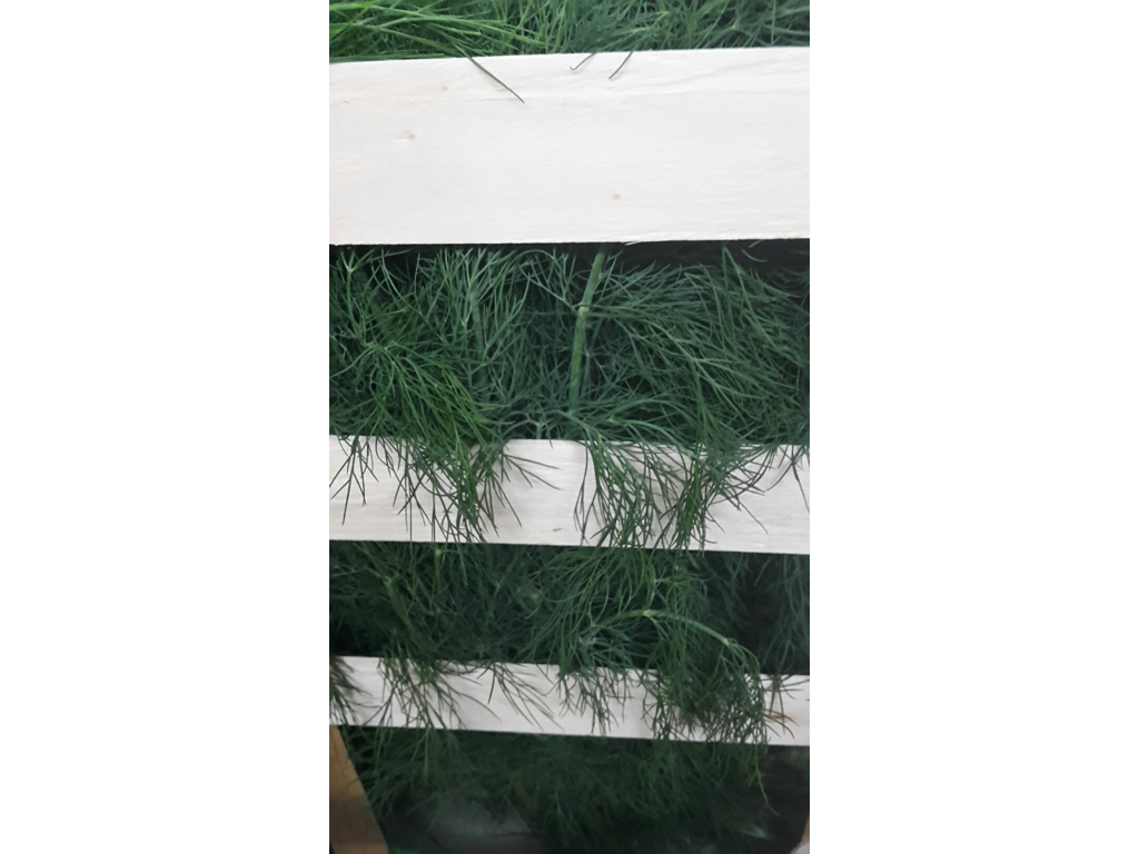 Dild kasse stående 3 kg 