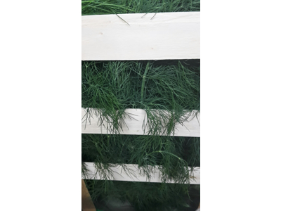 Dild kasse stående 3 kg 