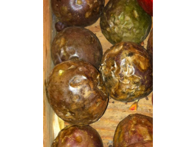 Passions frugter ks. a 2 kg