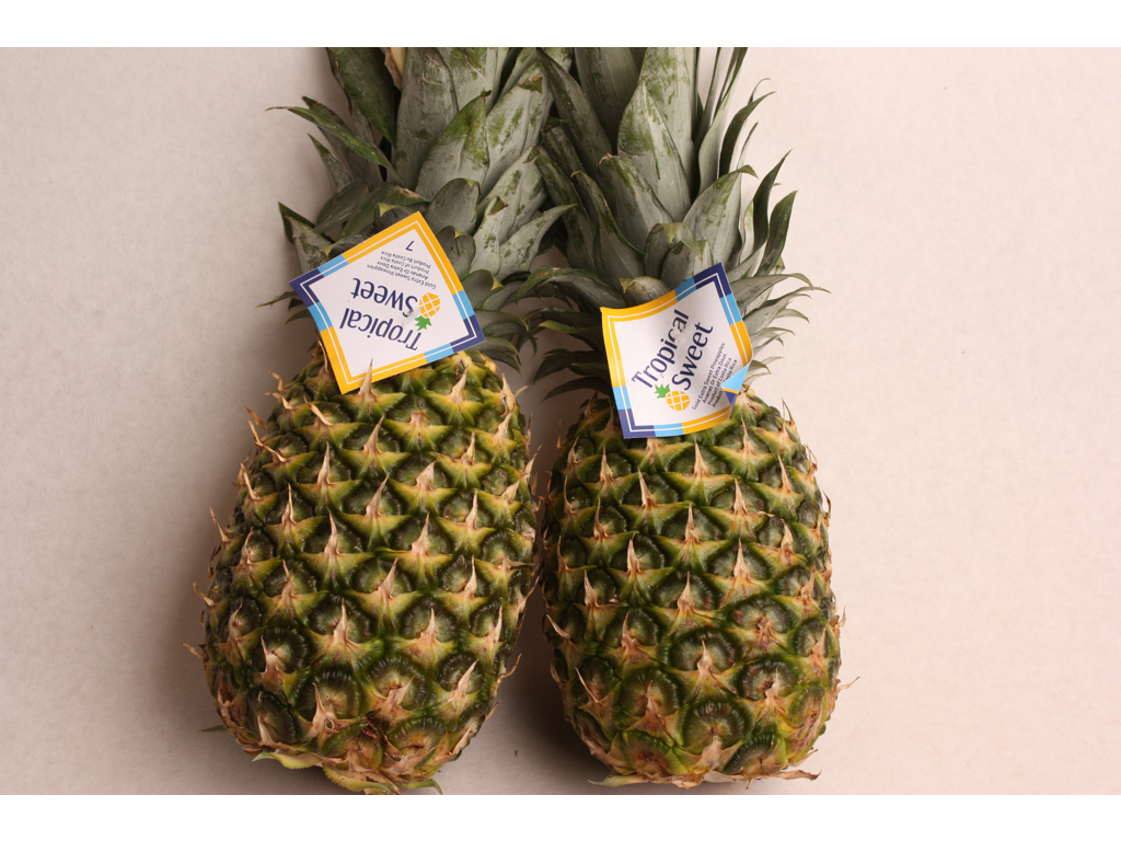 Ananas stor
