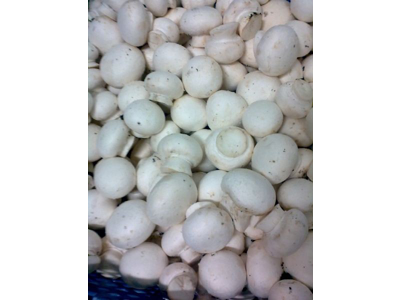 Champignon hvide 500g