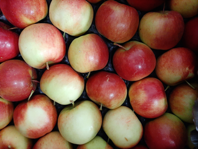 Æbler Maribelle ca. 84 stk. kasse Danske