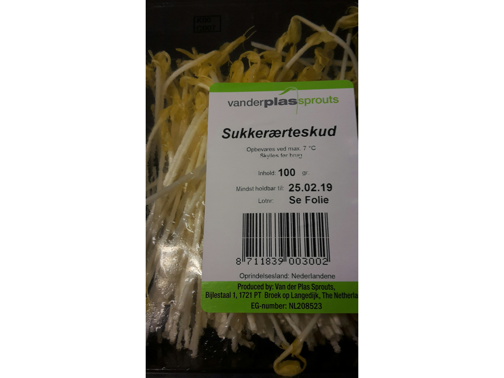 Spirer Sukkerærteskud