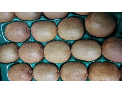 Kiwi frugt kasse 10 kg