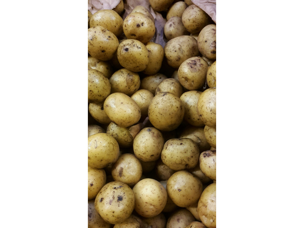 Kartofler vildmose skrælle kg. Folva