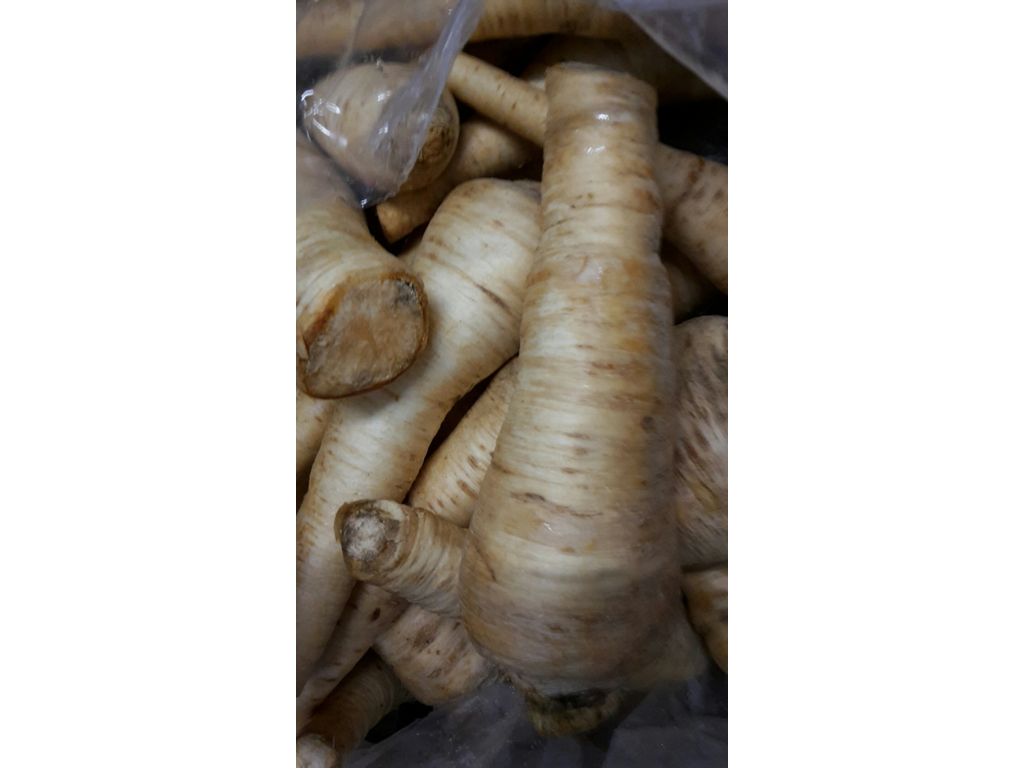 Pastinak kasse/sæk 5 kg Danske ny høst