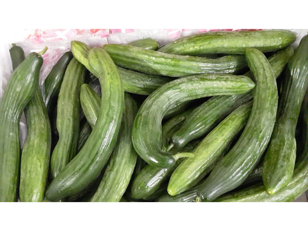 Agurker krumme Danske kasse ca. 10 kg.