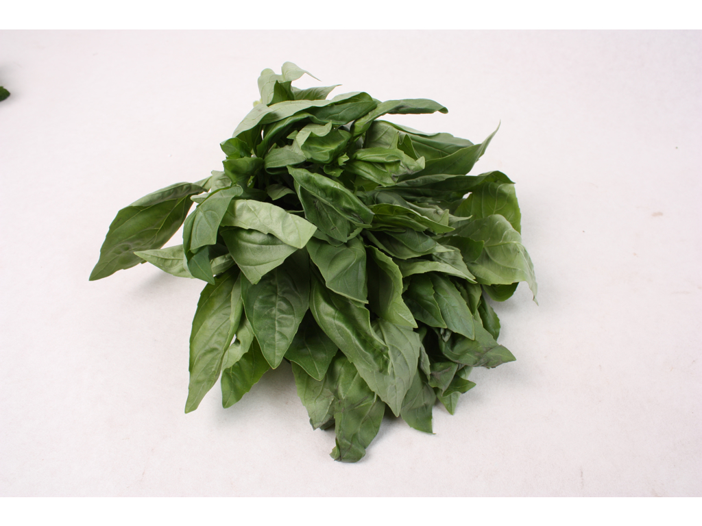Basilikum 1 kg.