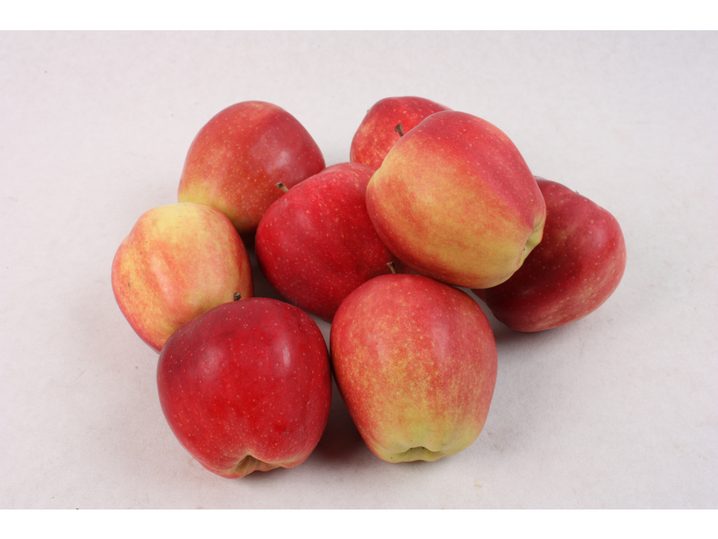 Æbler gloster kasse kl. 2, 10 kg. ca. 70 stk. Danske, skal fejl
