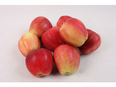 Æbler gloster kasse kl. 2, 10 kg. ca. 70 stk. Danske, skal fejl