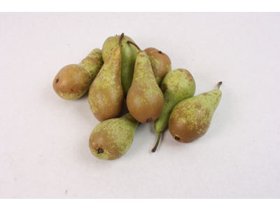 Pærer Conference. stk.