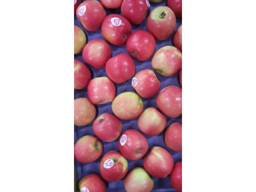 Æbler Pink lady 11 kg kasse 84 stk